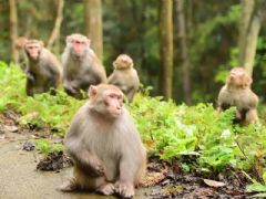 ����⨺�չʾ2