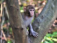 ����⨺�չʾ1