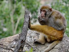 ����⨺�չʾ3