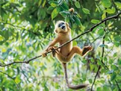 ����⨺�չʾ5