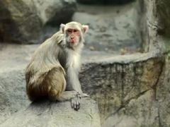 ����⨺�չʾ6