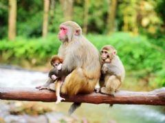 ����⨺�չʾ4