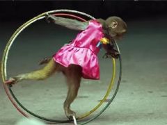 ���ձ���չ��7