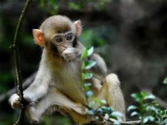 ����⨺�չʾ7