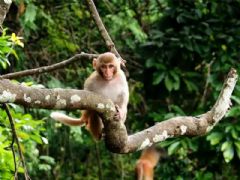 ����⨺�չʾ11