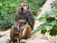 ����⨺�չʾ13