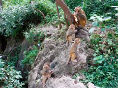 ����⨺�չʾ15