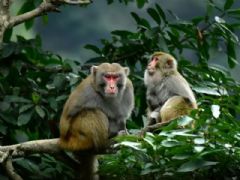 ����⨺�չʾ9