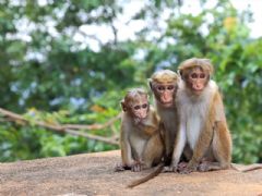 ����⨺�չʾ10