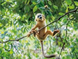 ����⨺�չʾ5