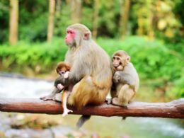 ����⨺�չʾ4