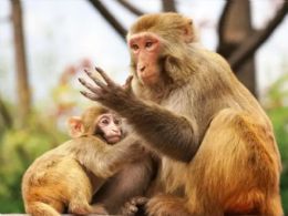 ����⨺�չʾ12