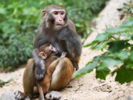 ����⨺�չʾ13