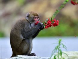 ����⨺�չʾ8