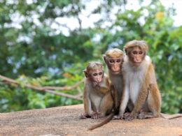 ����⨺�չʾ10